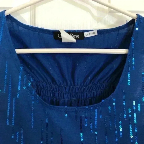 Carol Rose Blue Sleeveless Sequin Top  Size Small - Picture 4 of 11